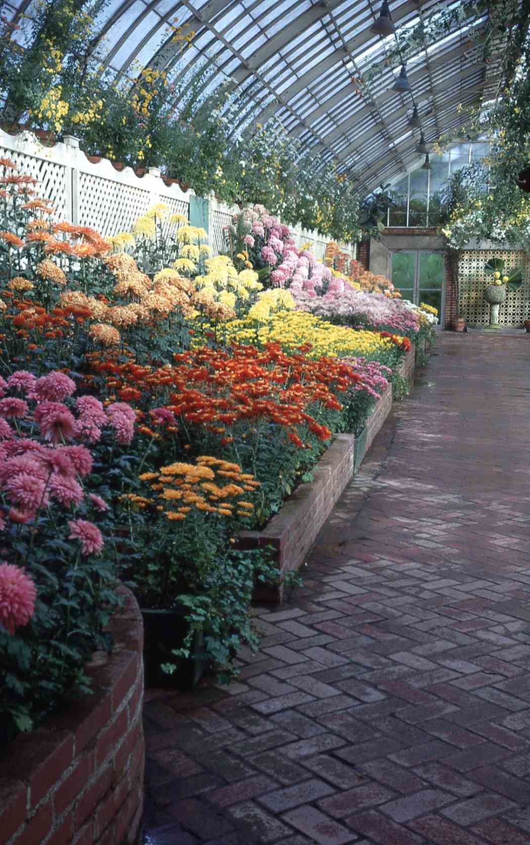 Fall Flower Show 1964