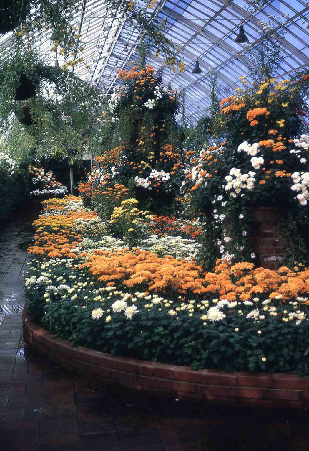 Fall Flower Show 1964