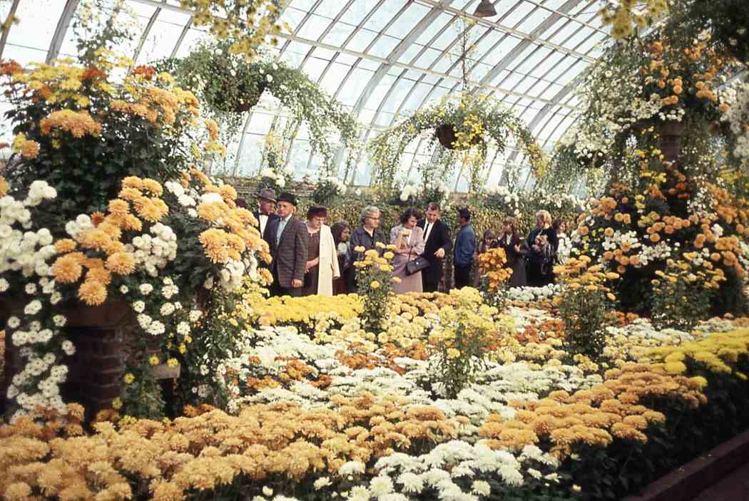 Fall Flower Show 1964