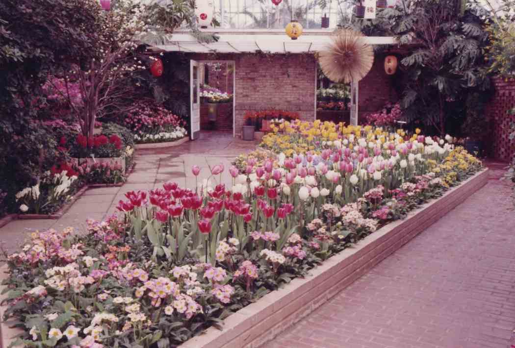 Spring Flower Show 1964