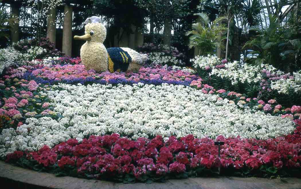 Spring Flower Show 1964