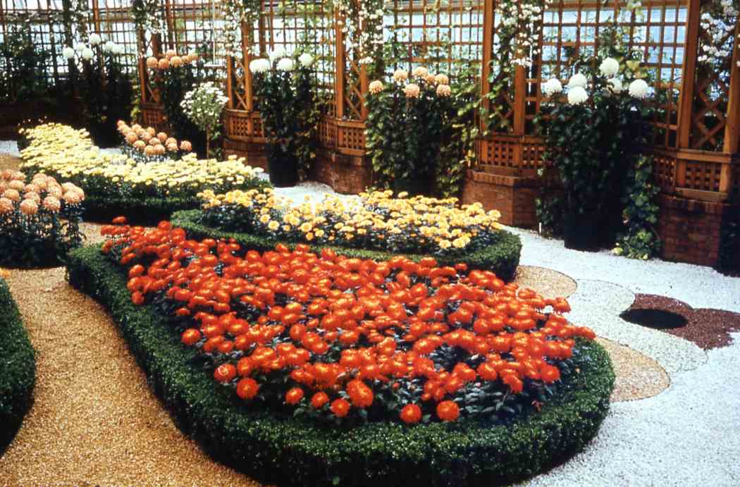 Fall Flower Show 1965