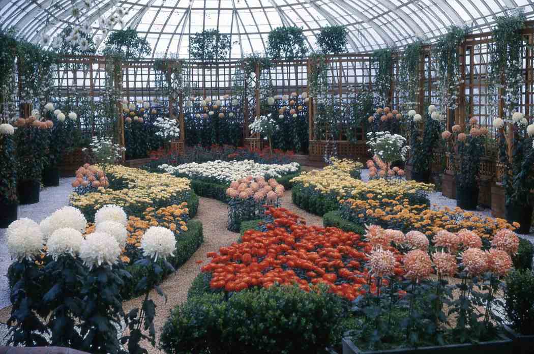 Fall Flower Show 1965