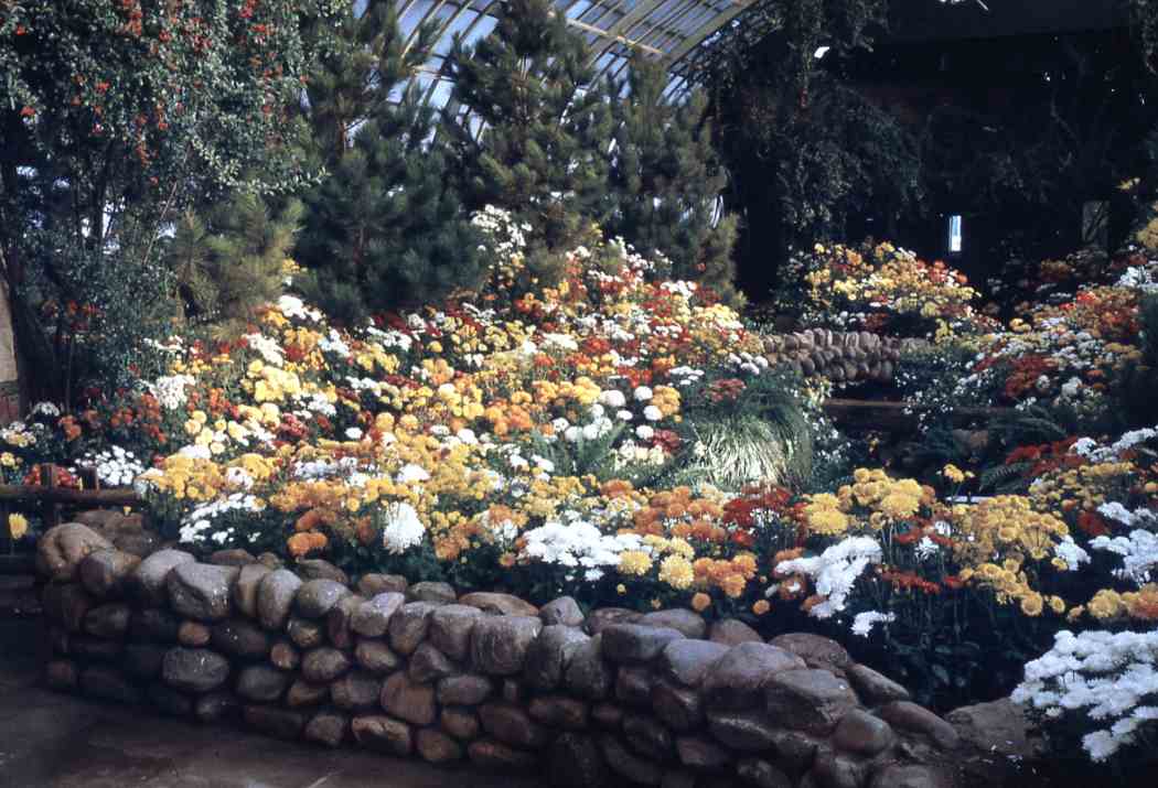 Fall Flower Show 1965