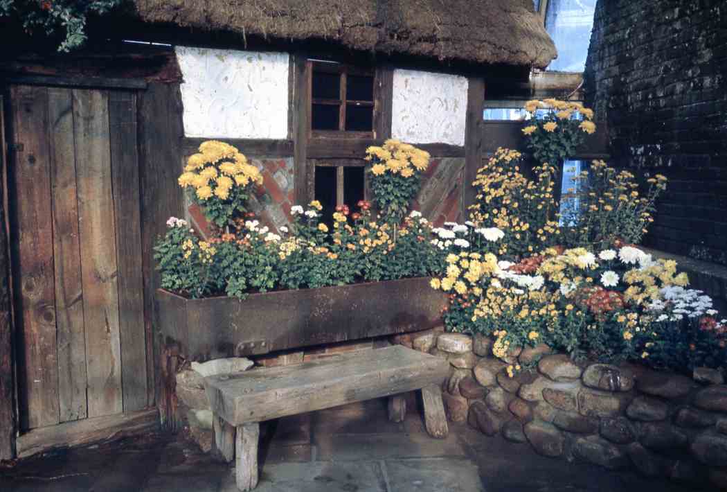 Fall Flower Show 1965