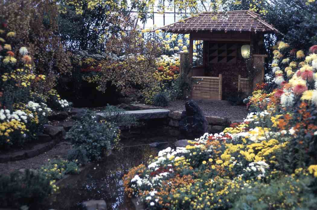 Fall Flower Show 1965