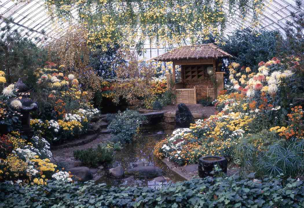 Fall Flower Show 1965