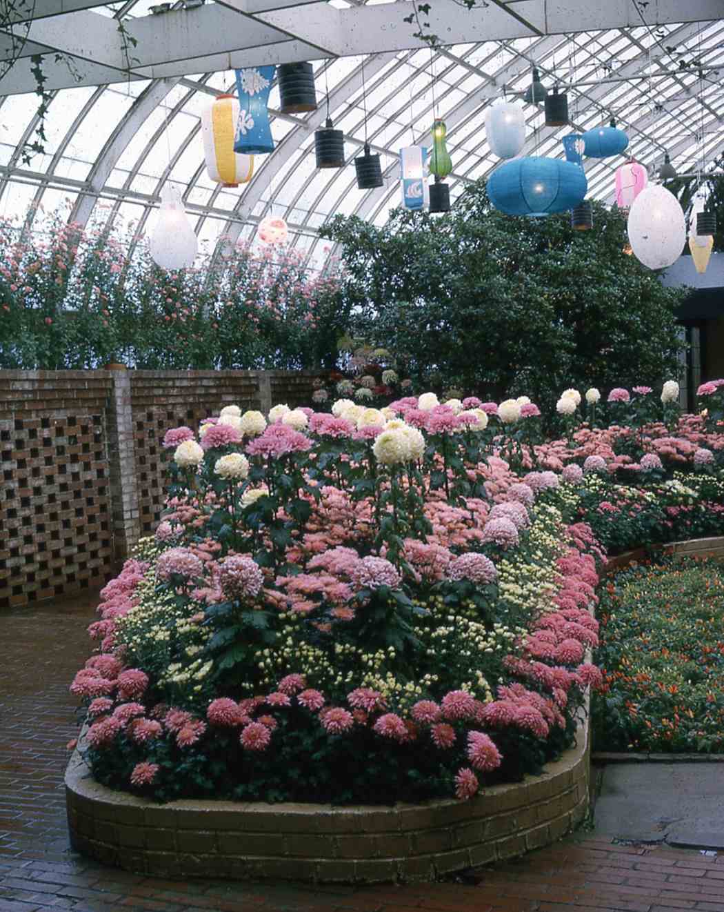 Fall Flower Show 1965