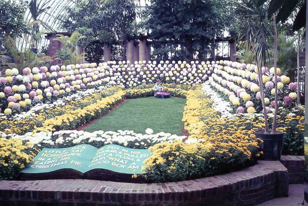 Fall Flower Show 1965