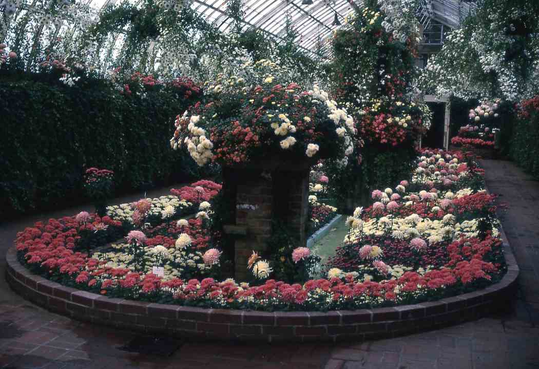 Fall Flower Show 1965