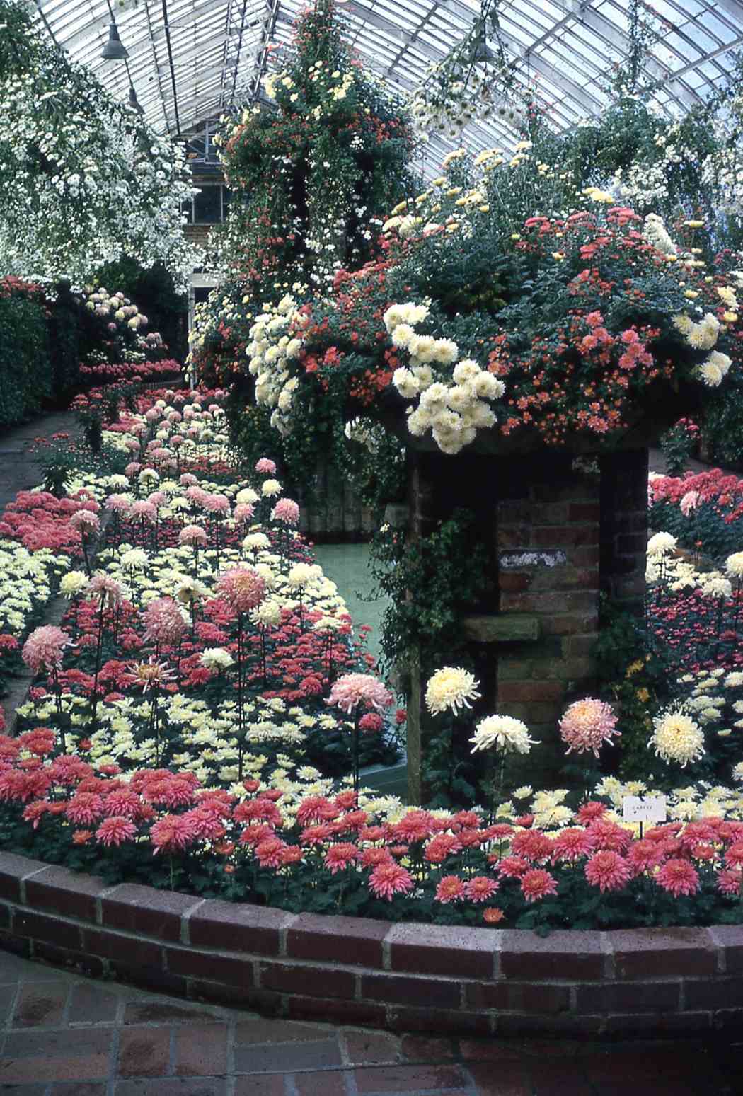 Fall Flower Show 1965