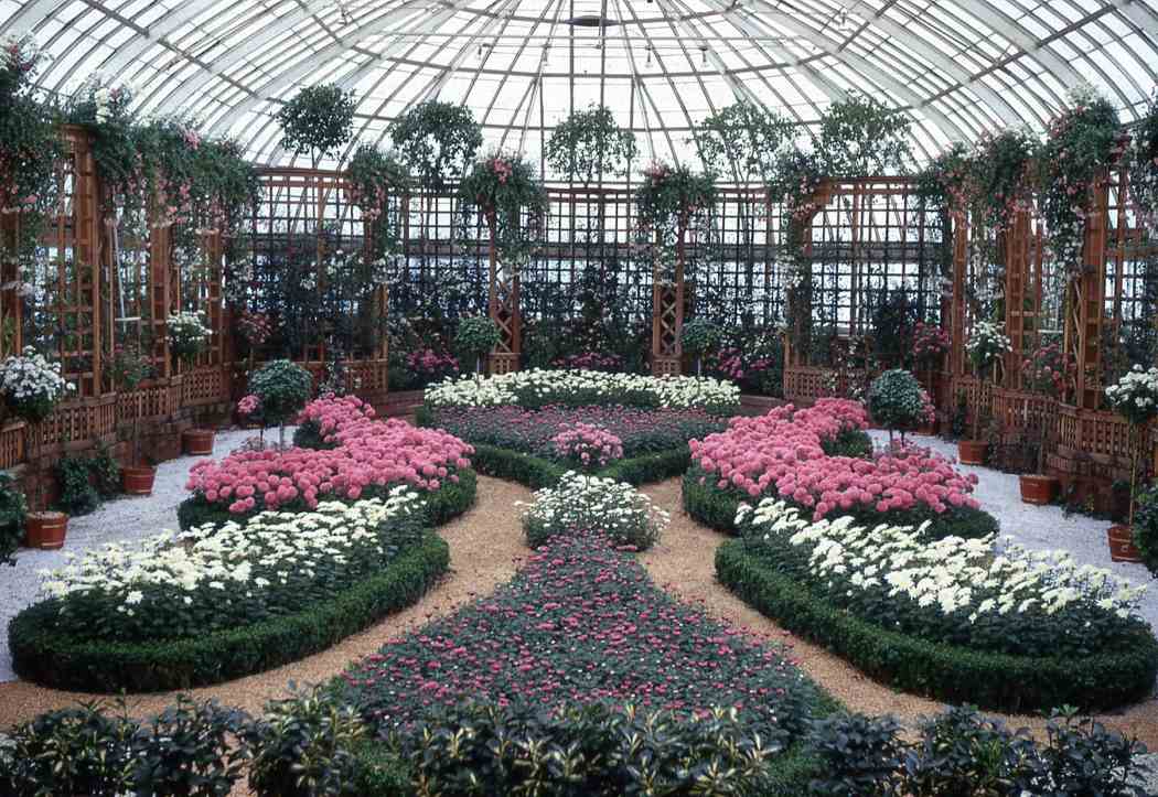 Fall Flower Show 1966