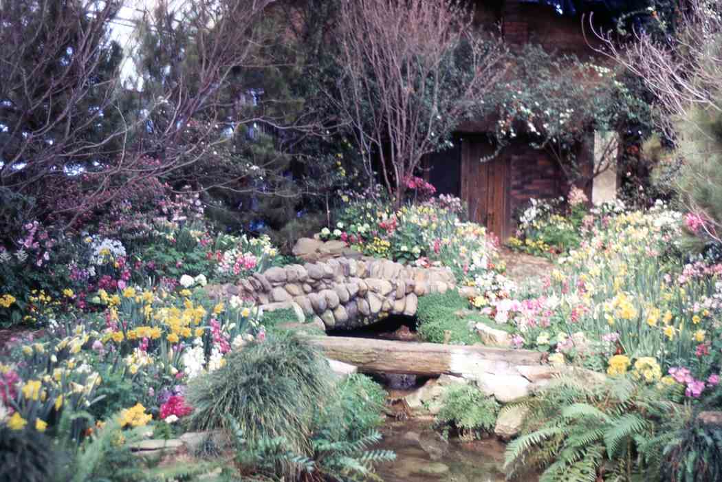 Spring Flower Show 1965