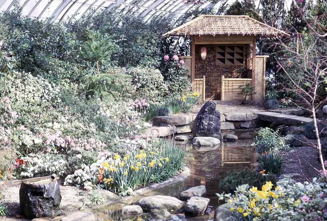 Spring Flower Show 1965