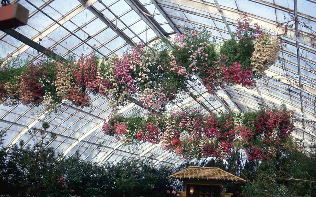 Spring Flower Show 1965 Spring Flower Show 1965