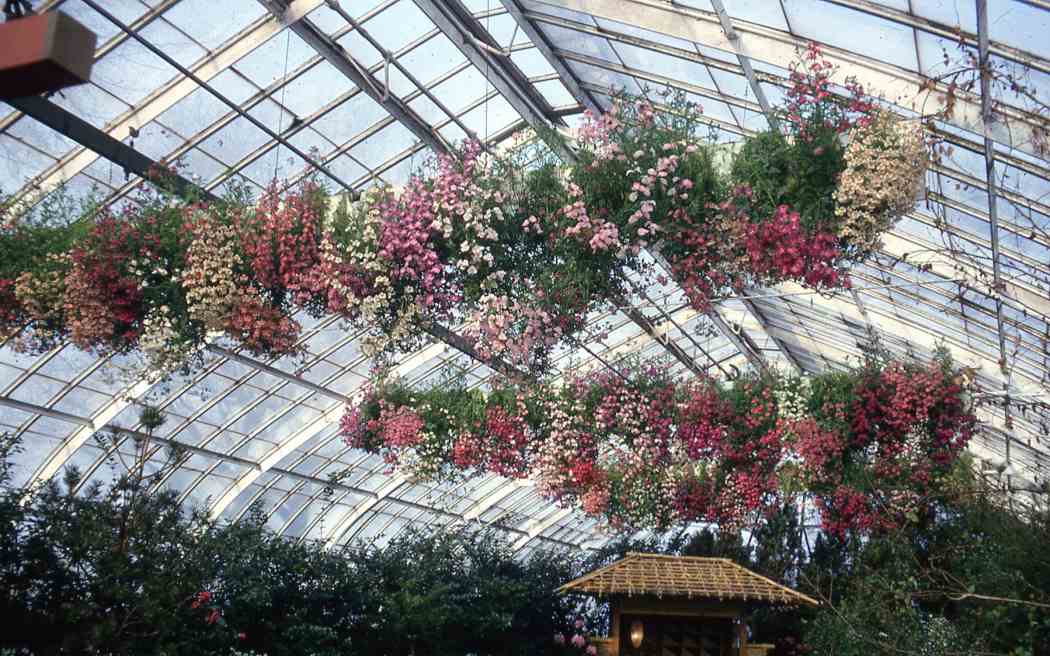 Spring Flower Show 1965