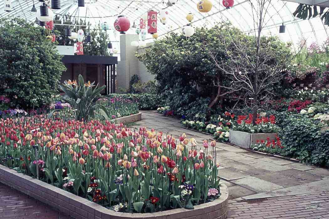 Spring Flower Show 1965