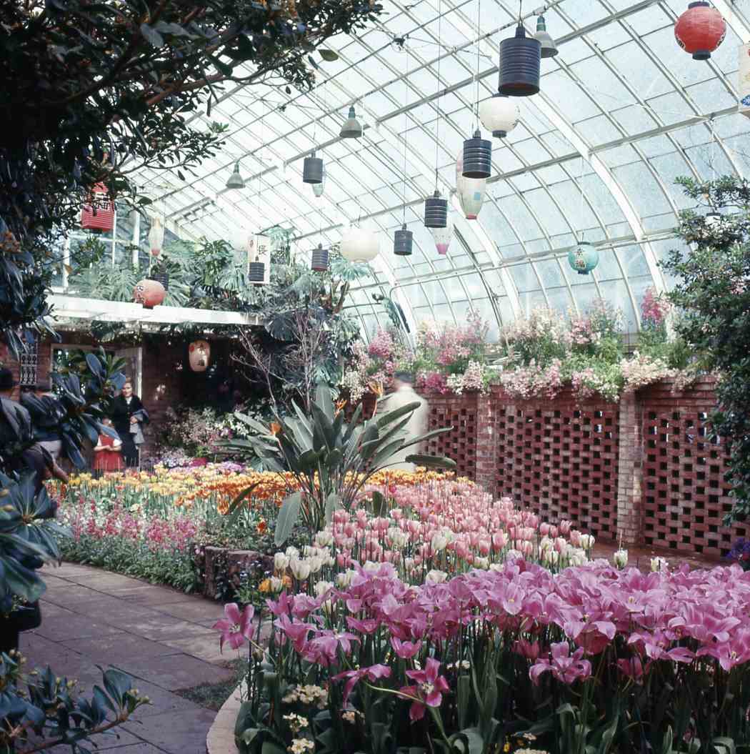 Spring Flower Show 1965