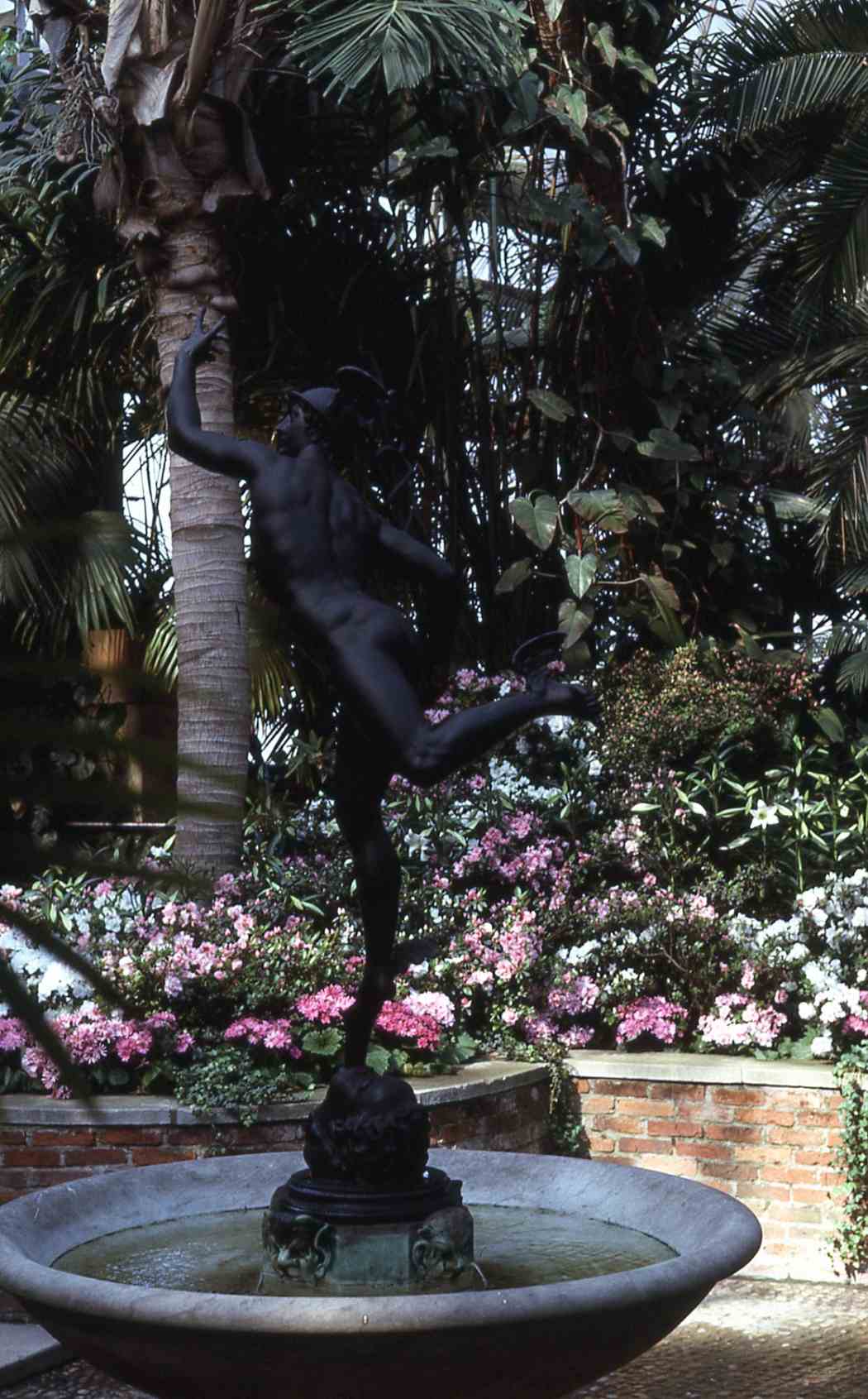 Spring Flower Show 1965