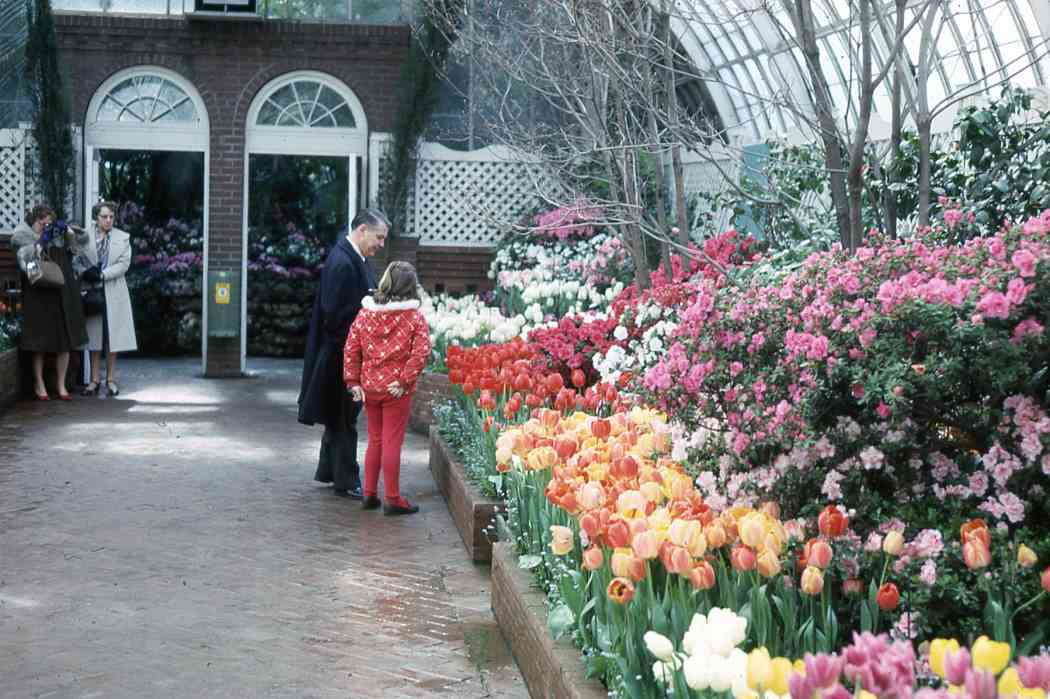 Spring Flower Show 1965