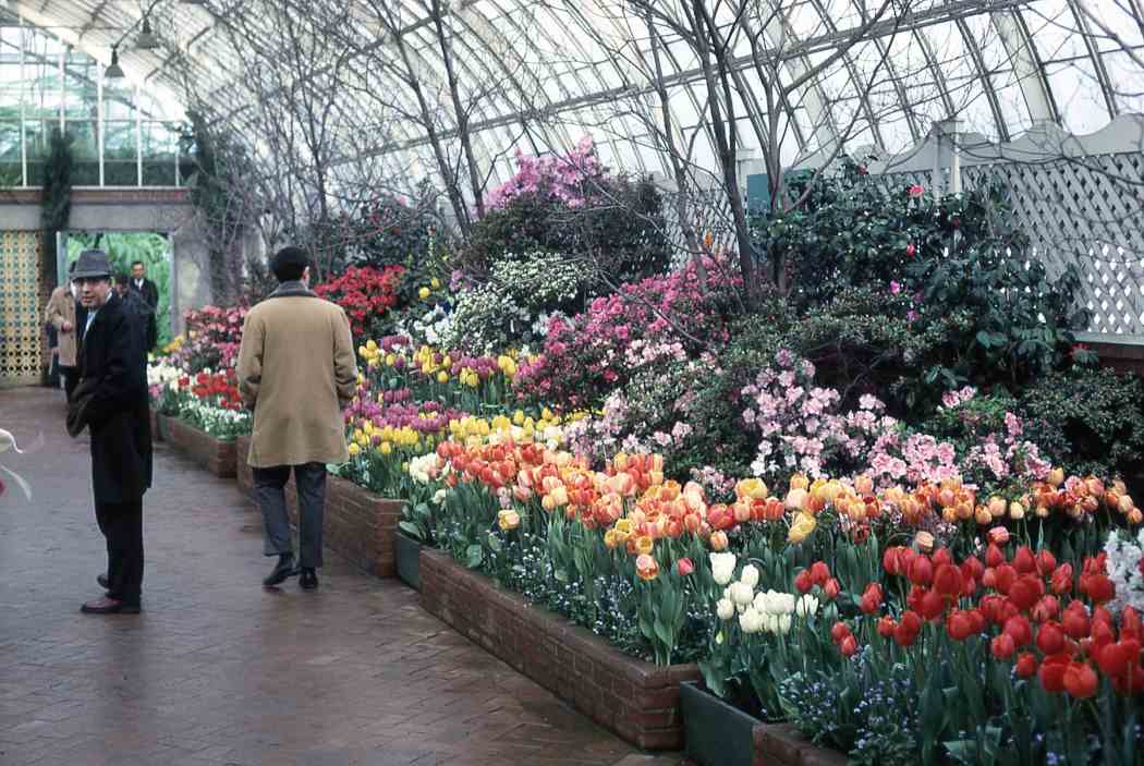 Spring Flower Show 1965