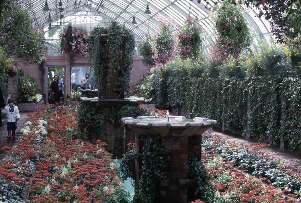 Spring Flower Show 1965