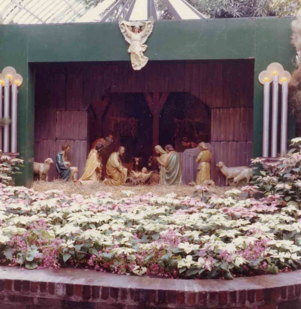 Winter Flower Show 1965