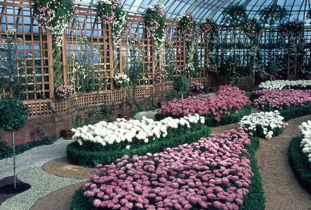 Fall Flower Show 1966