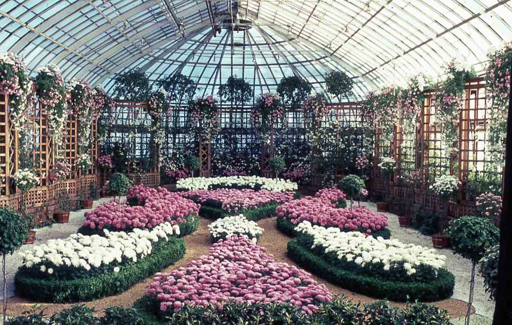 Fall Flower Show 1966