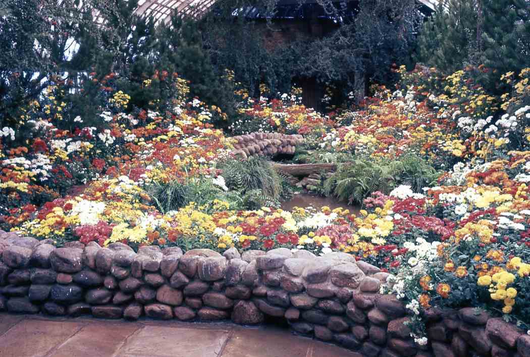 Fall Flower Show 1966