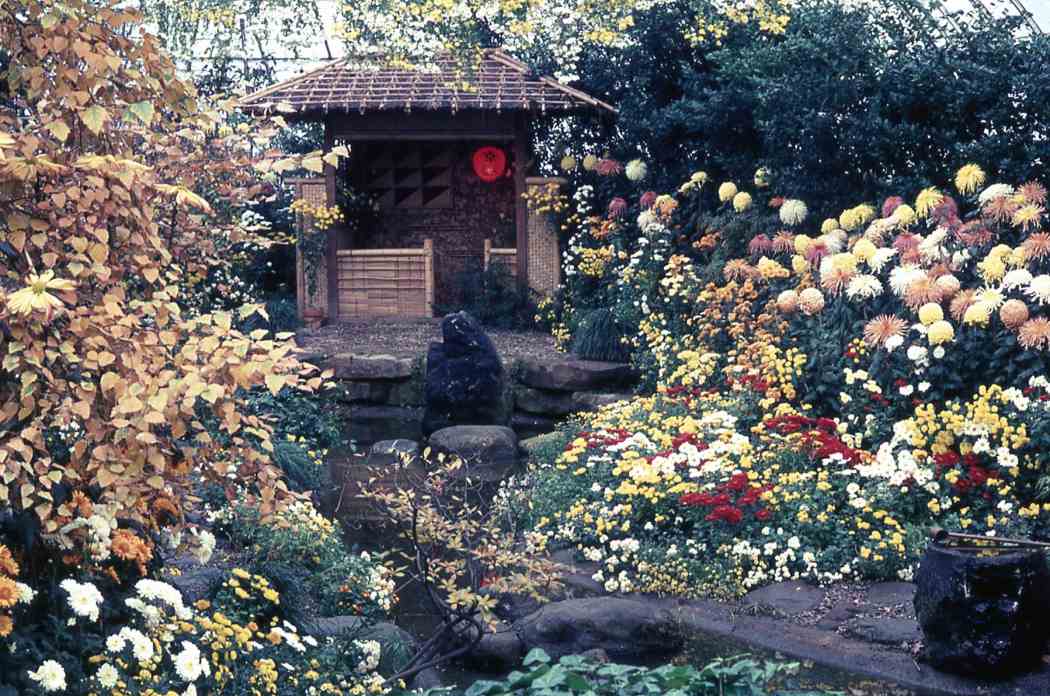 Fall Flower Show 1966