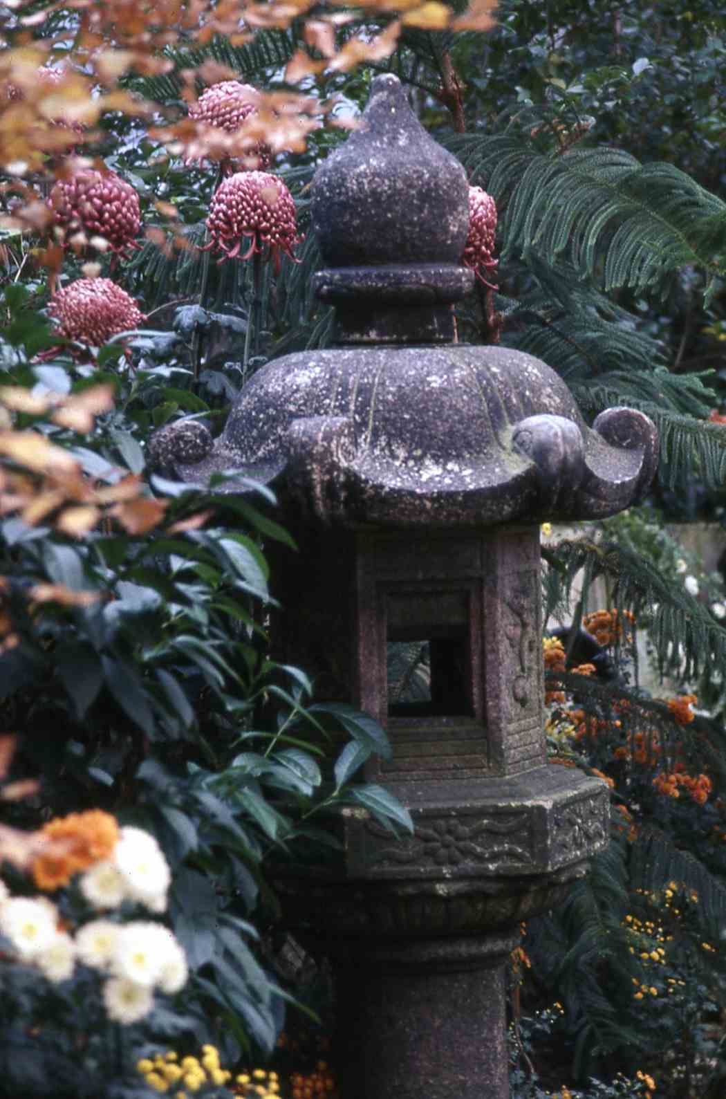 Fall Flower Show 1966