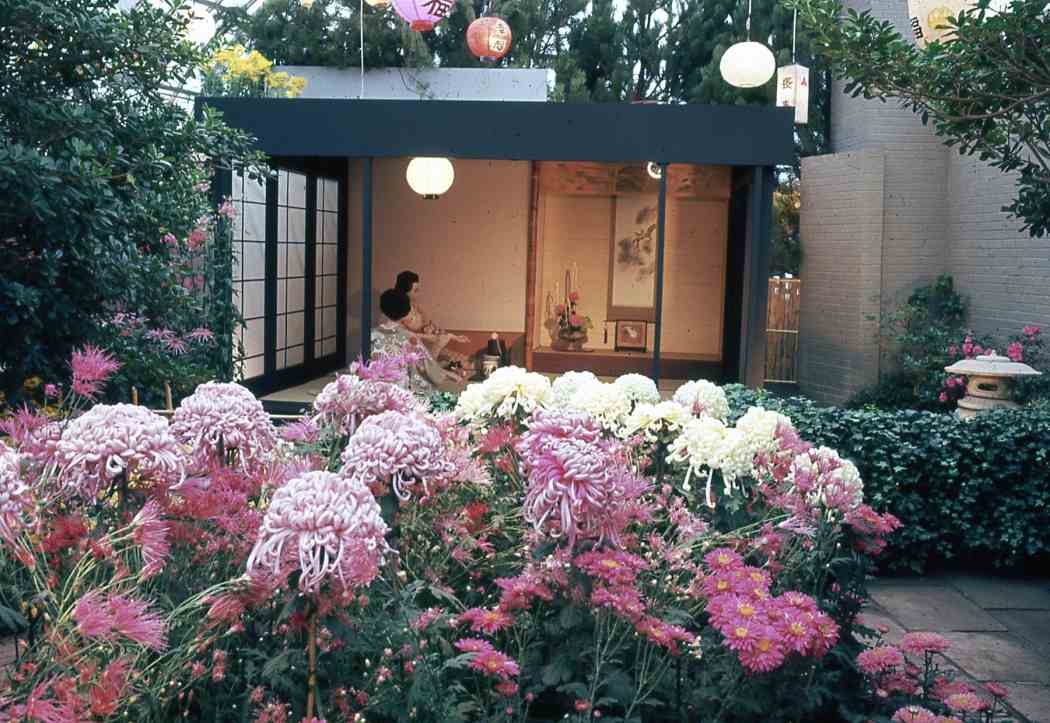 Fall Flower Show 1966