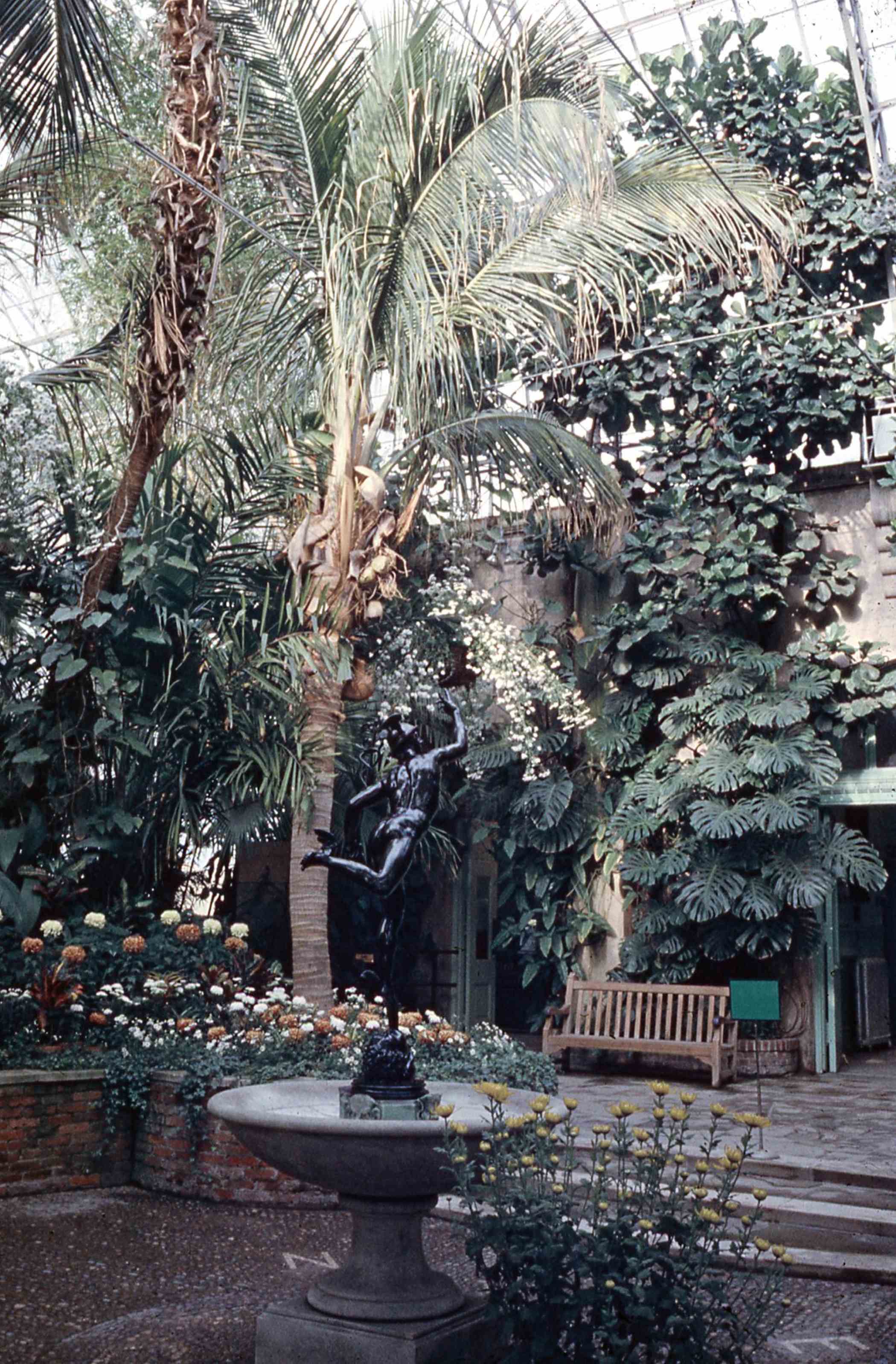Fall Flower Show 1966 | Phipps Conservatory and Botanical Gardens