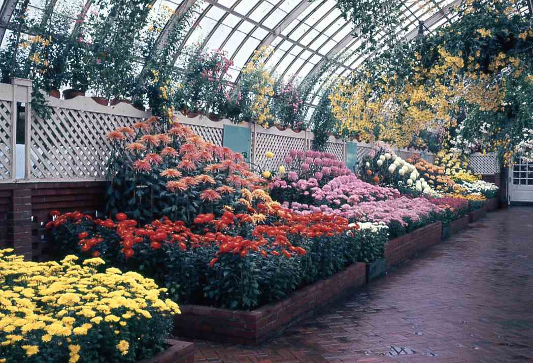 Fall Flower Show 1966