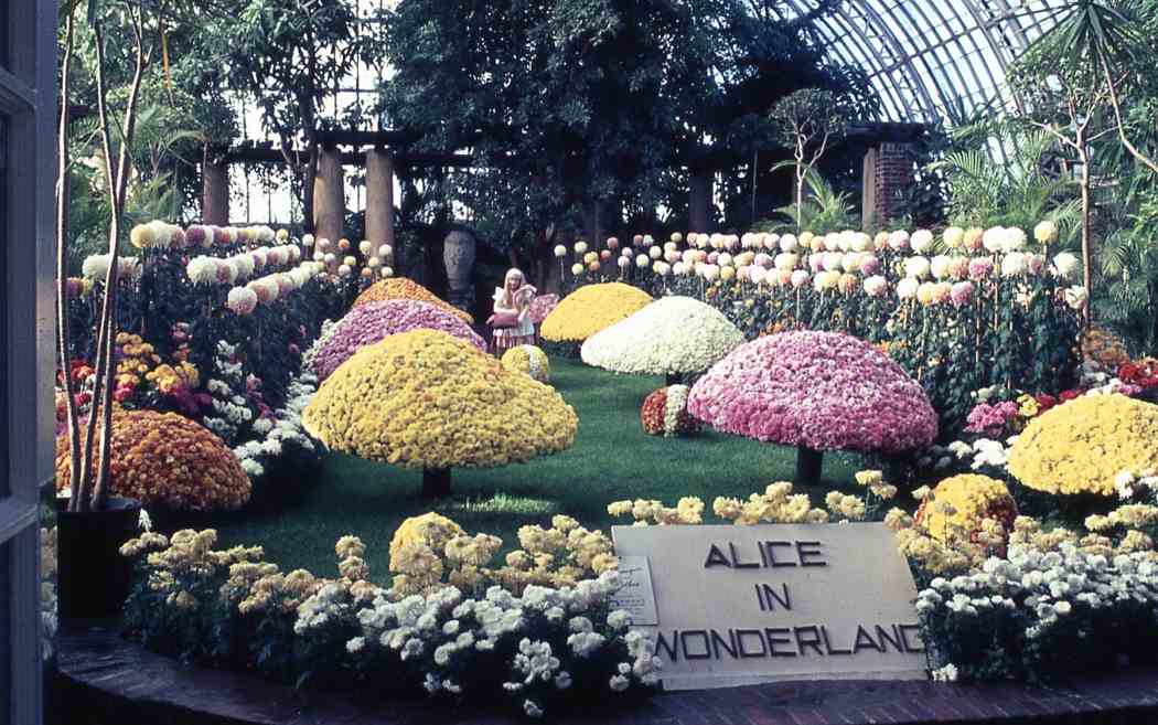 Fall Flower Show 1966