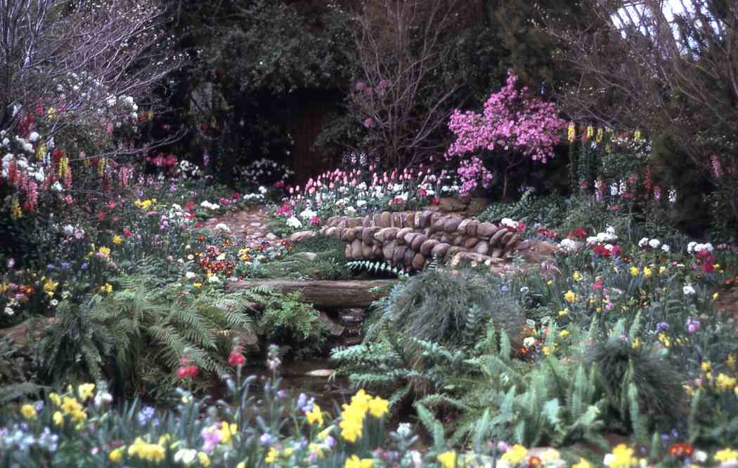 Spring Flower Show 1966