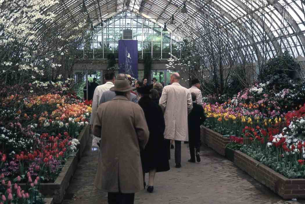 Spring Flower Show 1966