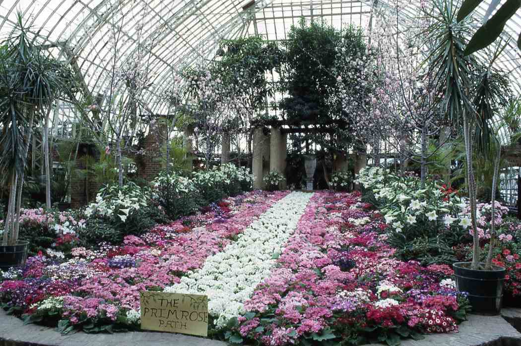 Spring Flower Show 1966