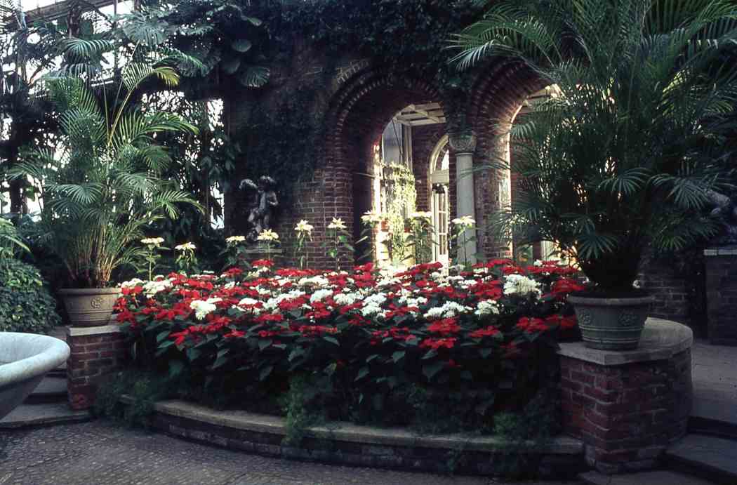 Winter Flower Show 1966