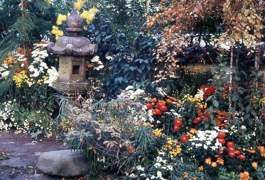 Fall Flower Show 1967