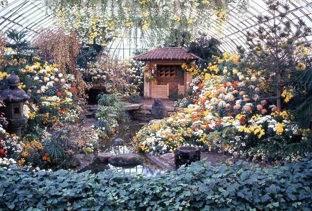 Fall Flower Show 1967