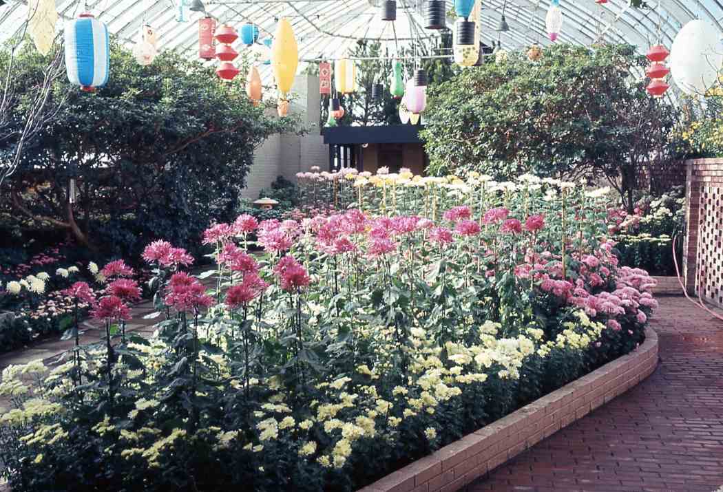 Fall Flower Show 1967