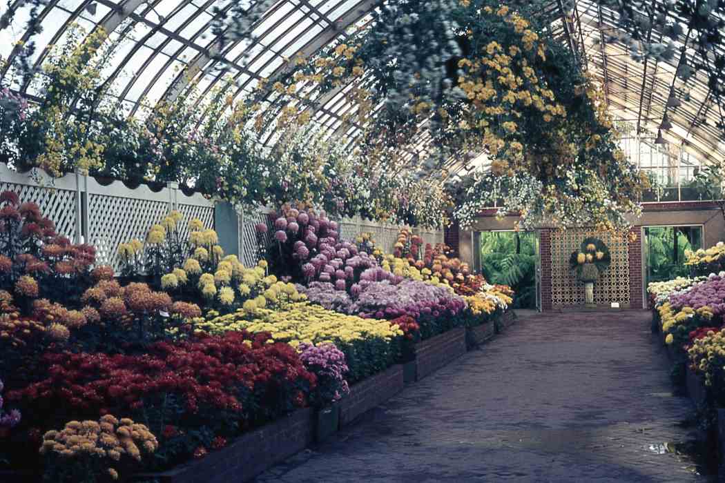 Fall Flower Show 1967