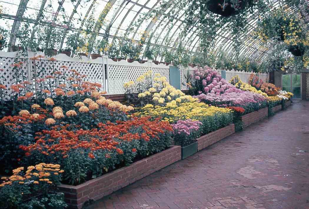 Fall Flower Show 1967