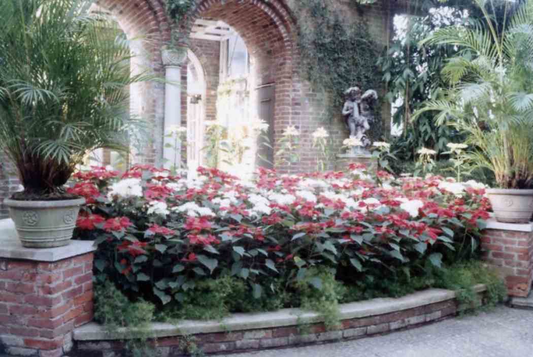 Winter Flower Show 1966