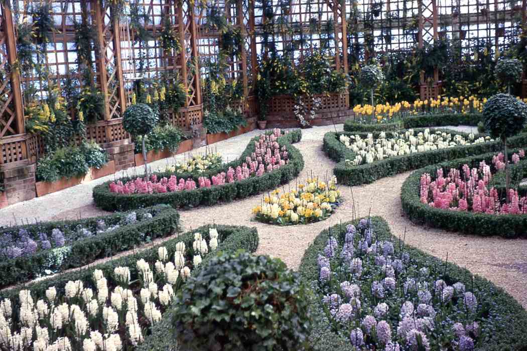 Spring Flower Show 1967
