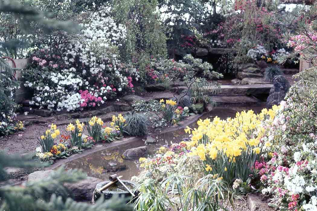 Spring Flower Show 1967