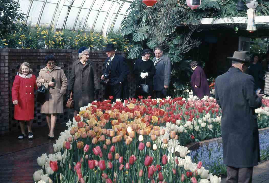 Spring Flower Show 1967