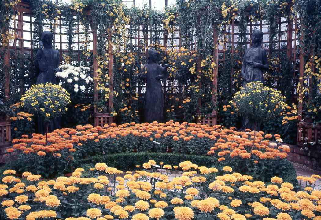 Fall Flower Show 1968